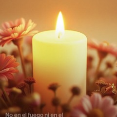 pequeños-milagros 2.