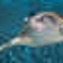 zaza x domo finesse | made on the Rapchat app (prod. by Metro daniels)