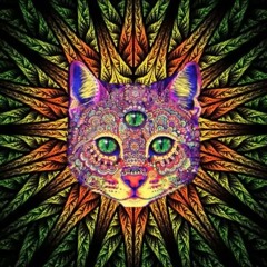 ACID TECHNO