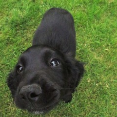 дискотека пенсионного фонда