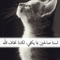 party | prod yxngkenay + 1vurk + cxsket |