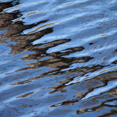 reflections of self