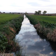 CRÓNICAS DEL RÍO DEL JARDÍN (DEMO Parte 1)