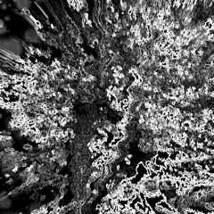 Yung Lean - MOREEEE #STAXXX #GRACIUSRAMBART TARRED N FEATHERED REMIXXX!!!+ #THUGROCK #SWAGVOSS2011