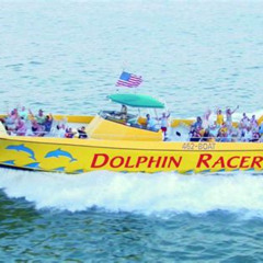 Review Special Price St. Pete Beach Dolphin Racer Adventure