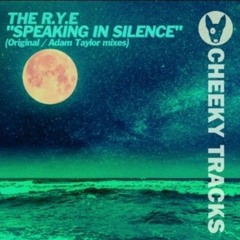 The R.Y.E - Speaking In Silence (SAMPLE) **Released 15th December on Cheeky Tracks**