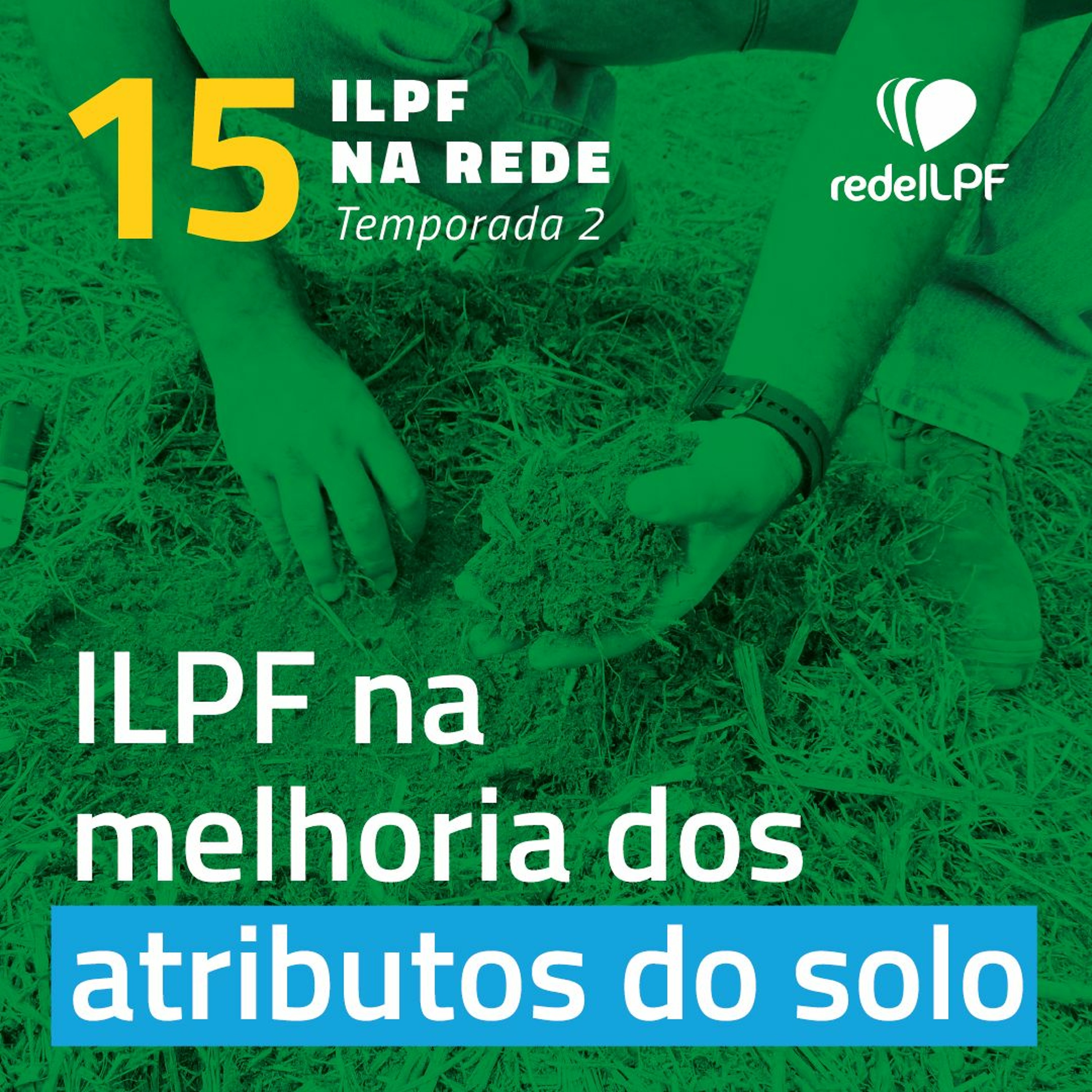 ILPF Na Rede