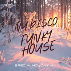 Special Nu Disco Holiday Mix