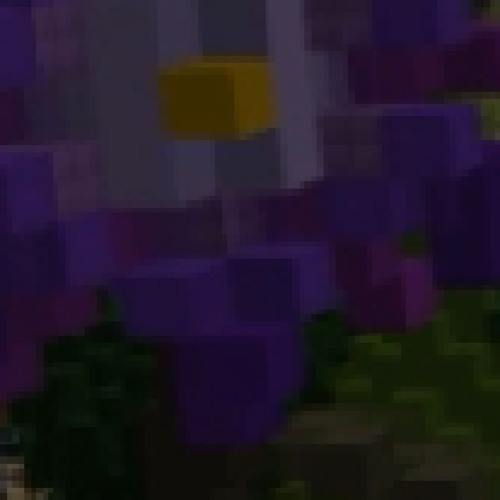 fulcrum does nitrous