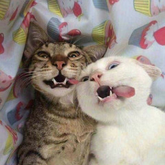 feel the same - the millennial club (sped up)