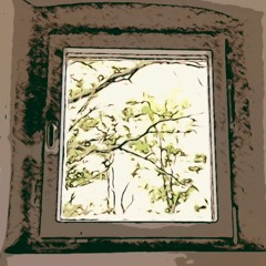 Fliegen (Ami Warning)