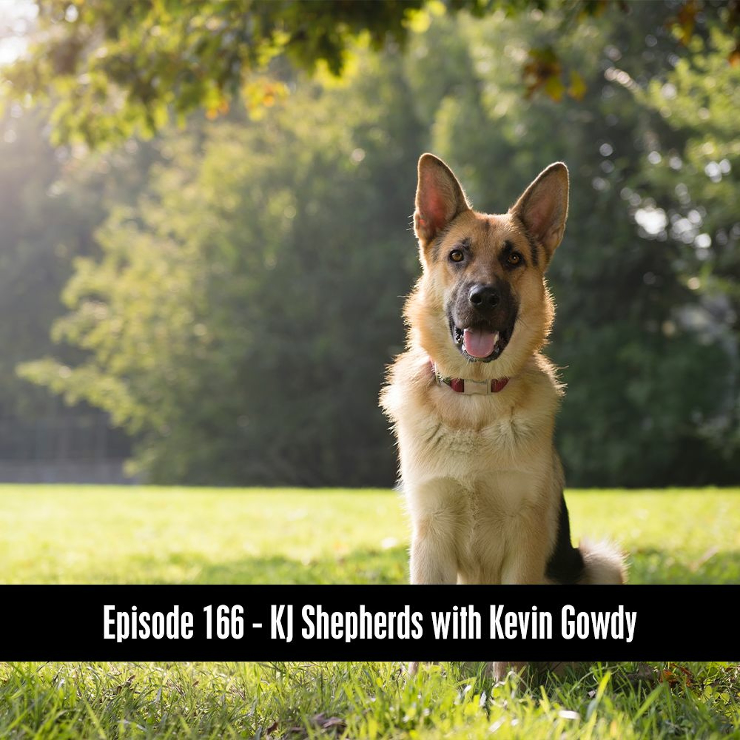Episode 166 - KJ Shepards with Kevin Gowdy