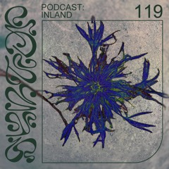Syntop Audio 119 - Inland