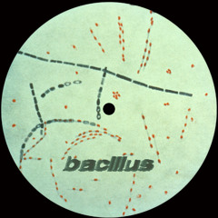 BACILLUS