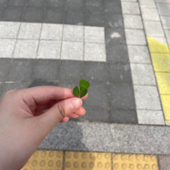 2025.05.16 비