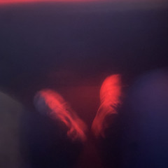 love you to the moon and back