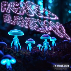 Wicked - Bullshit Law ( Teknoland Production )