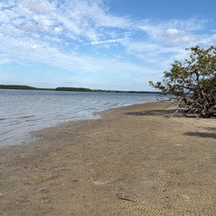 Benson Boone - Beautiful Things (BERNZIKIAL Remix)