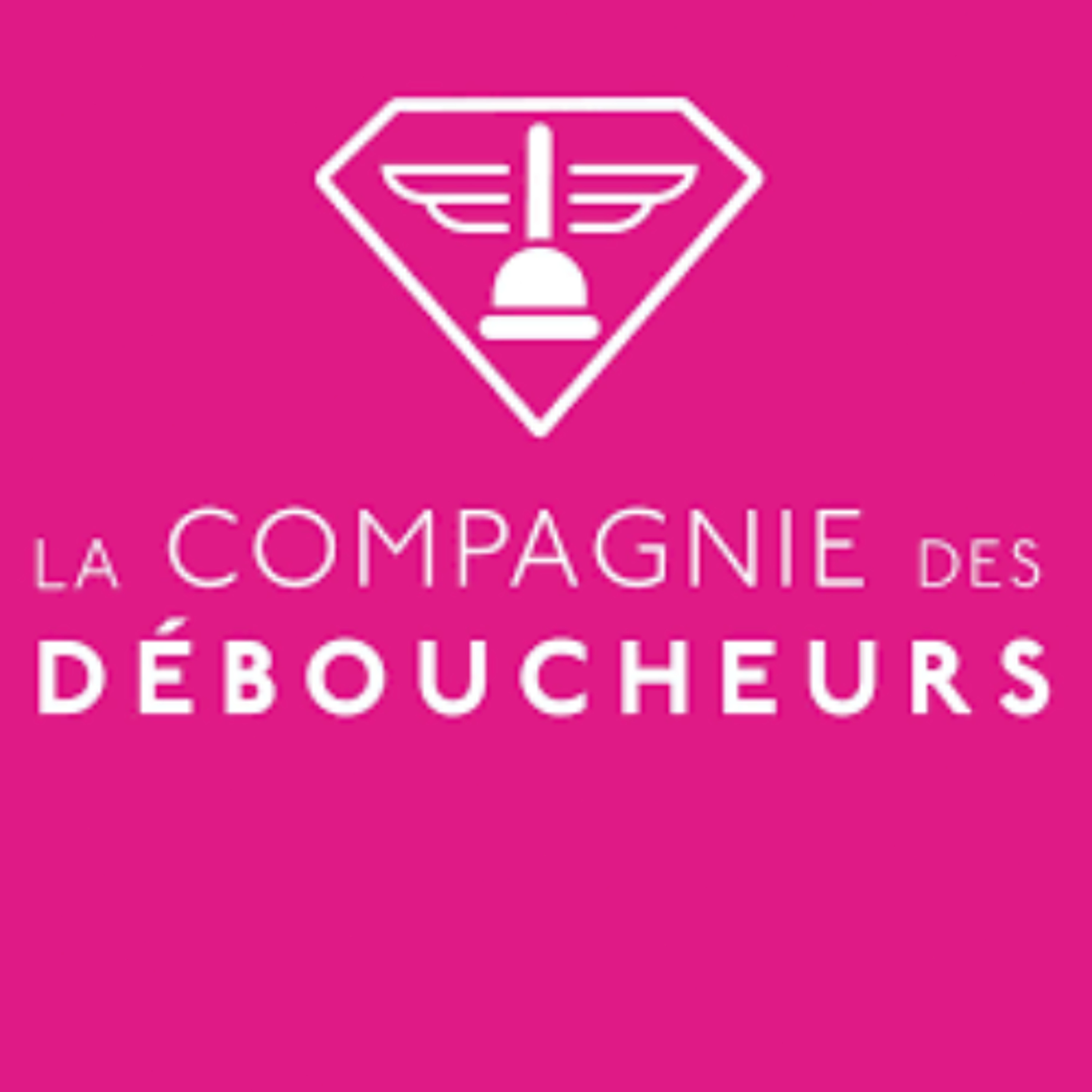 LOGO cie des déboucheurs