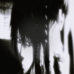 ONBYF tempestXIII id1nb84 flip