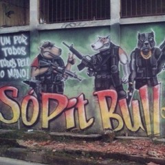 MC DI RAÇA & MC DUDU DO MANGUINHOS = TÁ 2 E NÓS QUE TÁ DENTRO DO MARIA HELENA