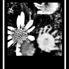 Movement #3
