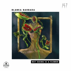 Premiere: Blanka Barbara - The Zeal Of My House [Kitchen Recordings]
