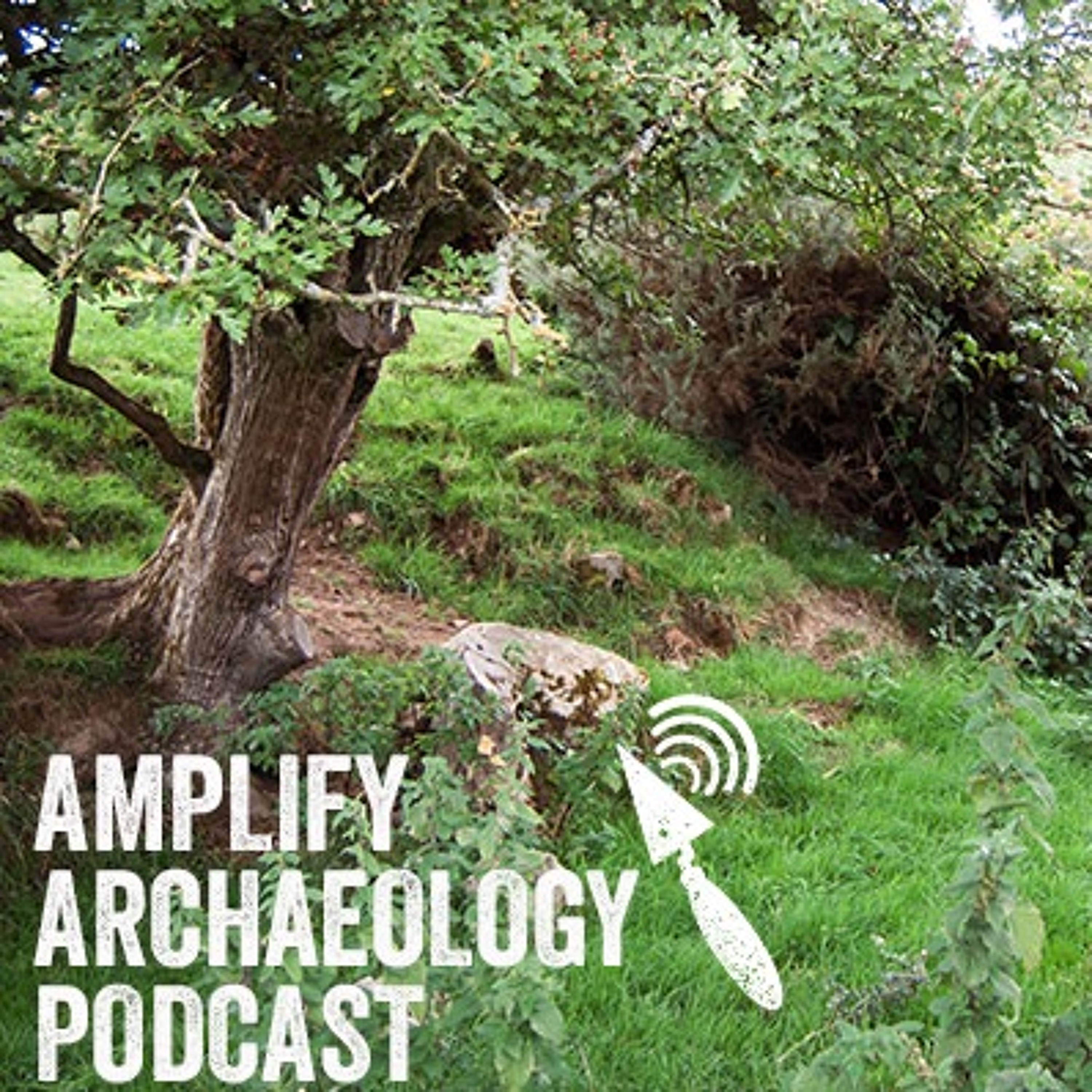 Digging Dun Ailinne - Amplify Archaeology Podcast Episode 30 episode artwork