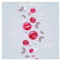 Yoshihiko Koezuka - Cranberry