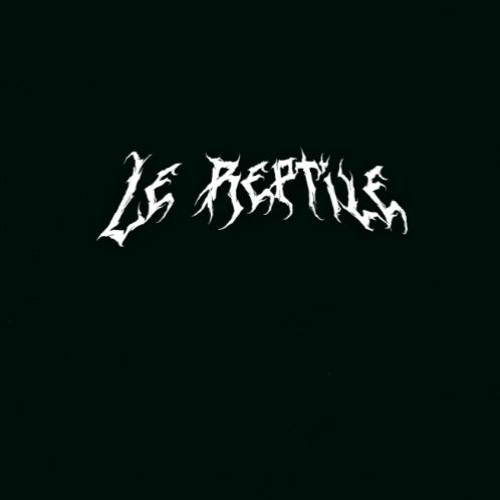 Le Reptile & Reallies -Dubstep Demons