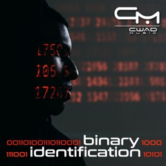 Binary Identification