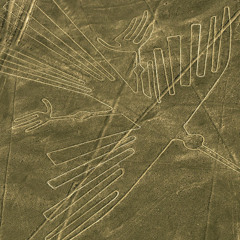 condor