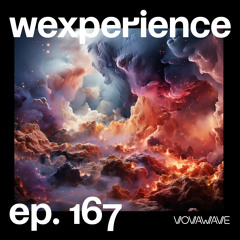 WExperience #167