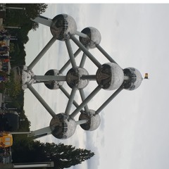 Set PsyTrance//01.06.2024**FOREST**