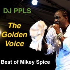 Best Of Mikey Spice