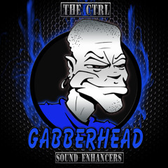 The Ctrl - Brutally Violated