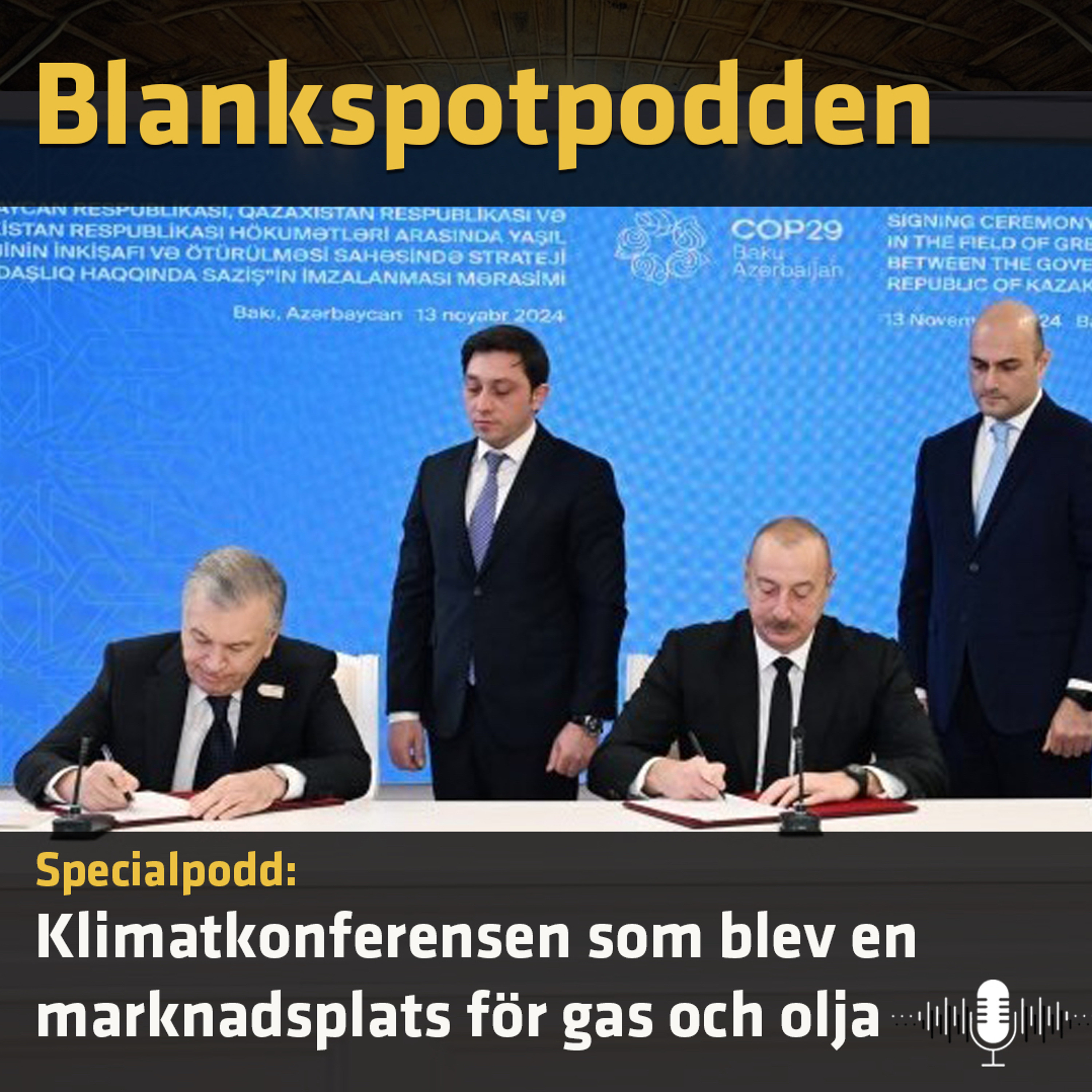 Blankspotpodden