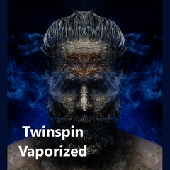 Twinspin - Vaporized