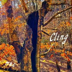 Cling - Single