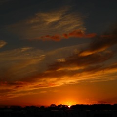 Morning - Edvard Grieg (Cello and Piano)