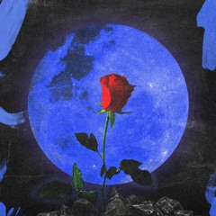 New Feelings (prod Adi Rei)