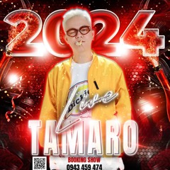 Hứa Đợi Nhưng Chẳng Tới - Tamaro Remix