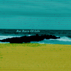 Labrat Nomad - Rat Race Of Life