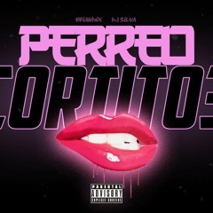 PERREO CORTITO 3 - BRIANMIX ft. DJ SILVA
