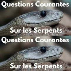 comme un serpent