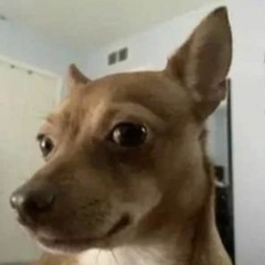 dj blejtram x greku produkcja 4 w nocy białe nosy