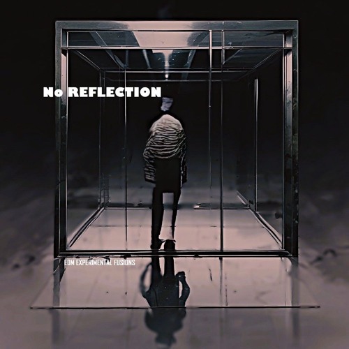 No Reflection