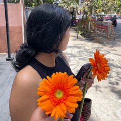 wildflower (cover)