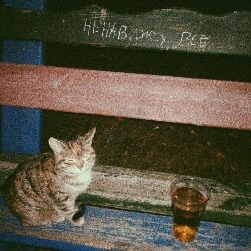 Виталя Джа - Похуй Молодой (мескалин remix)