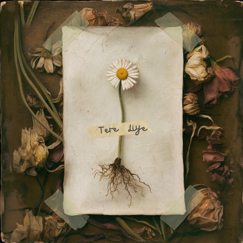 Tere Liye - Gulshan - Parth Bhatt